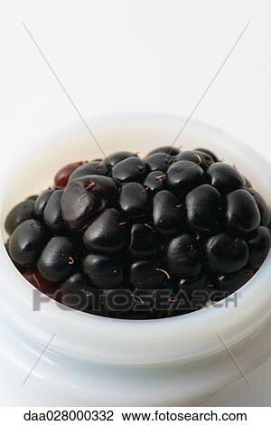 Fresh blackberry in small cosmetic container View Large Photo Image Stock Image - Fresh blackberry in small cosmetic container. Fotosearch