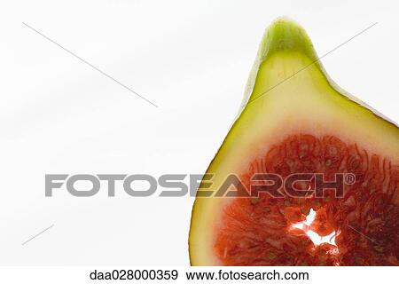 Stock Photo - Fresh fig slice. Fotosearch