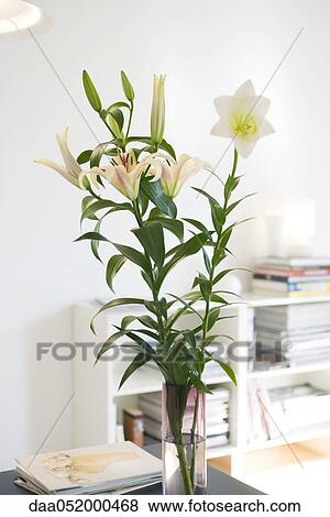 Stock Photo - Fresh lilies arranged in vase. Fotosearch