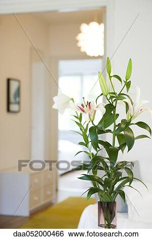 Fresh lilies arranged in vase View Large Photo Image Stock Photograph - Fresh lilies arranged in vase. Fotosearch
