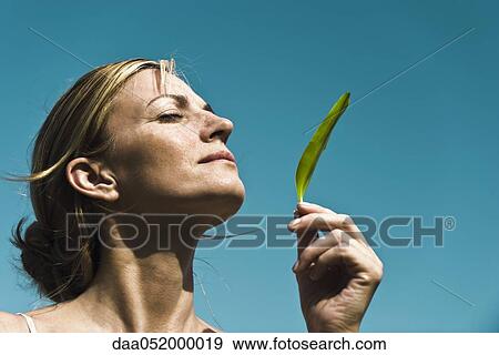 Fresh scent of nature View Large Photo Image Stock Photo - Fresh scent of nature. Fotosearch