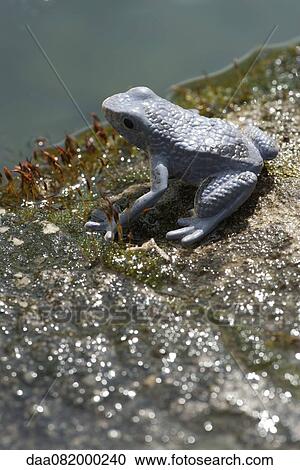 Frog statuette View Large Photo Image Stock Image - Frog statuette. Fotosearch