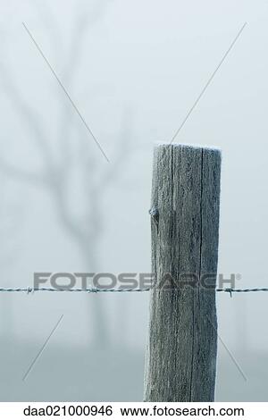Frost covered barbed wire and wooden post View Large Photo Image Stock Photograph - Frost covered barbed wire and wooden post. Fotosearch