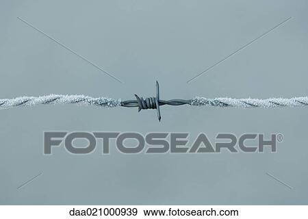 Frost covered barbed wire View Large Photo Image Stock Photo - Frost covered barbed wire. Fotosearch