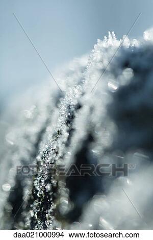 Frost, extreme close-up View Large Photo Image Picture - Frost, extreme close-up. Fotosearch