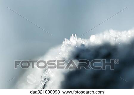 Stock Image - Frost. Fotosearch