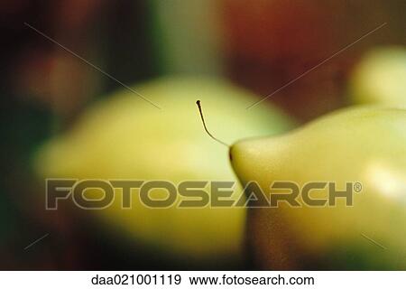 Fruit, close-up View Large Photo Image Stock Photo - Fruit, close-up. Fotosearch