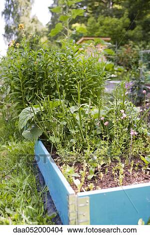 Garden planter View Large Photo Image Picture - Garden planter. Fotosearch