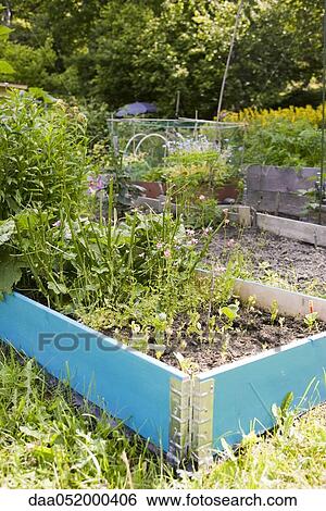Garden planter View Large Photo Image Stock Photograph - Garden planter. Fotosearch