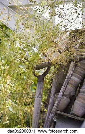 Gardening tools in overgrown garden View Large Photo Image Stock Image - Gardening tools in overgrown garden. Fotosearch