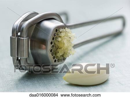 Garlic press and clove of garlic View Large Photo Image Picture - Garlic press and clove of garlic. Fotosearch