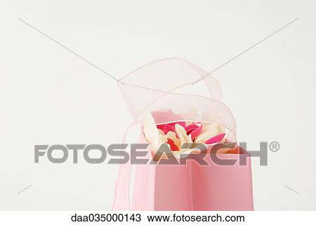 Gift bag, flowers sticking out View Large Photo Image Stock Image - Gift bag, flowers sticking out. Fotosearch