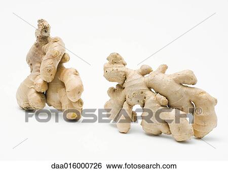 Ginger root View Large Photo Image Stock Photograph - Ginger root. Fotosearch