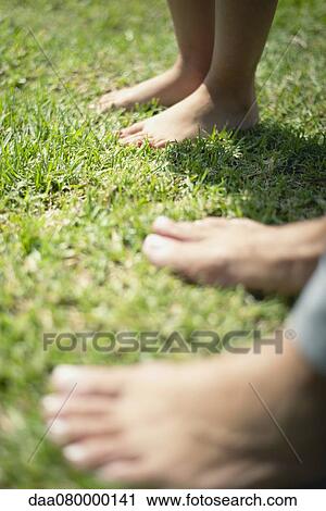 Girl and man standing in grass with barefeet, low section View Large Photo Image Stock Image - Girl and man standing in grass with barefeet, low section. Fotosearch