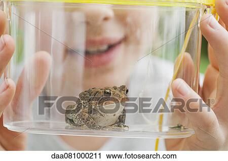 Girl looking at toad in terrarium, cropped View Large Photo Image Stock Image - Girl looking at toad in terrarium, cropped. Fotosearch