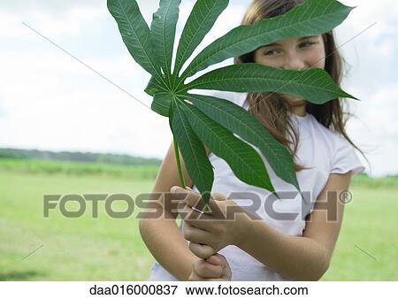 Stock Photo - Girl standing holding cassava leaf. Fotosearch
