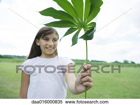 Stock Photography - Girl standing holding cassava leaf. Fotosearch