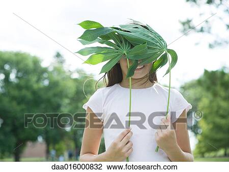 Girl standing holding cassava leaves in front of face View Large Photo Image Stock Image - Girl standing holding cassava leaves in front of face. Fotosearch