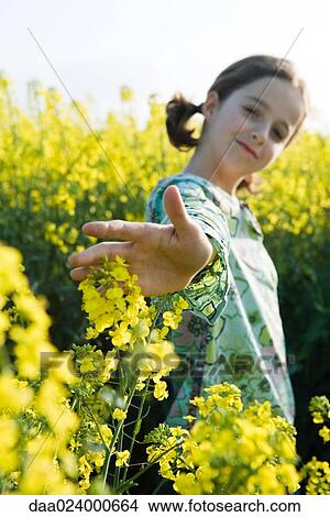 Girl standing in field of canola, arm out to touch flowers View Large Photo Image Picture - Girl standing in field of canola, arm out to touch flowers. Fotosearch