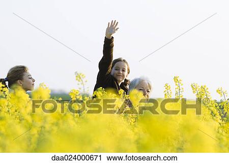 Girl standing in field of canola in bloom, waving at camera, with sister and grandmother View Large Photo Image Stock Image - Girl standing in field of canola in bloom, waving at camera, with sister and grandmother. Fotosearch