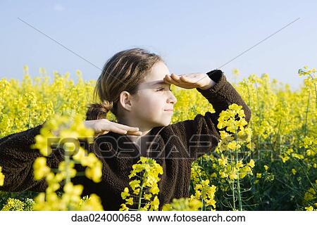 Girl standing in field of canola in bloom, shading eyes and looking into distance View Large Photo Image Stock Photo - Girl standing in field of canola in bloom, shading eyes and looking into distance. Fotosearch