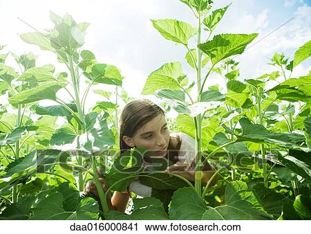 Stock Image - Girl standing in tall plants. Fotosearch