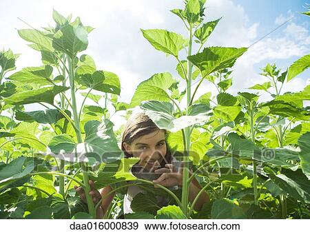 Girl standing in tall plants View Large Photo Image Stock Photo - Girl standing in tall plants. Fotosearch
