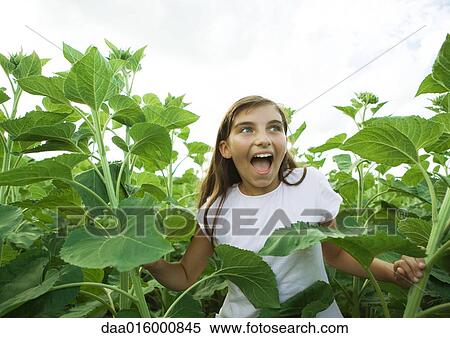 Girl standing in tall plants View Large Photo Image Stock Photography - Girl standing in tall plants. Fotosearch