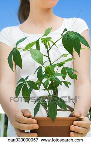 Stock Photo - Girl with potted plant. Fotosearch
