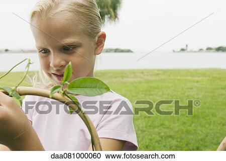 Girl wrapping vine around stake in garden View Large Photo Image Stock Image - Girl wrapping vine around stake in garden. Fotosearch