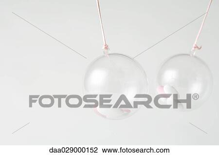 Glass ornaments containing candy, close-up View Large Photo Image Stock Image - Glass ornaments containing candy, close-up. Fotosearch