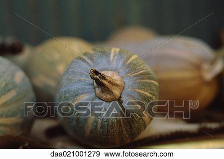 Gourds View Large Photo Image Stock Photo - Gourds. Fotosearch
