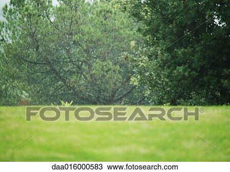 Grass and trees in background View Large Photo Image Stock Image - Grass and trees in background. Fotosearch