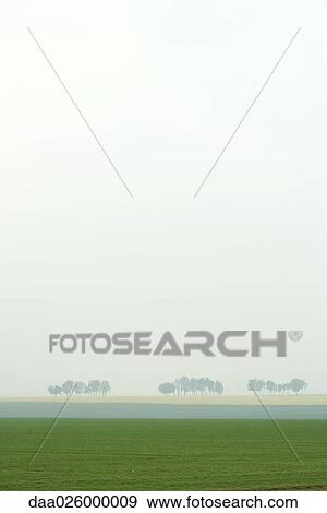 Grassy field with fog and trees in background View Large Photo Image Stock Photo - Grassy field with fog and trees in background. Fotosearch