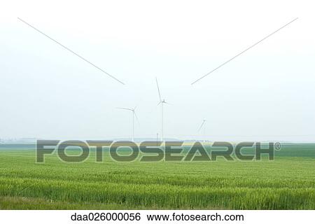 Grassy landscape with wind turbines in the distance View Large Photo Image Stock Photograph - Grassy landscape with wind turbines in the distance. Fotosearch