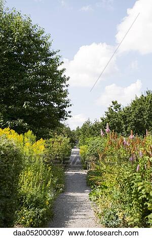 Gravel path leading through botanical garden View Large Photo Image Stock Photo - Gravel path leading through botanical garden. Fotosearch