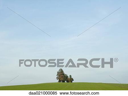 Green field and sky View Large Photo Image Stock Photography - Green field and sky. Fotosearch