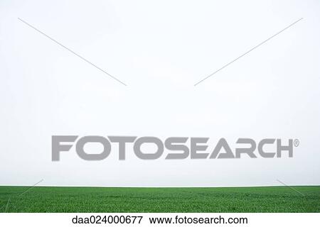 Green field View Large Photo Image Stock Photo - Green field. Fotosearch