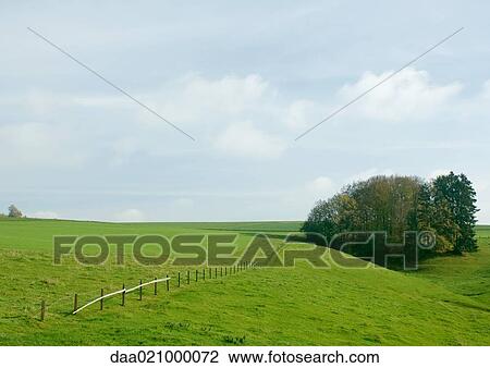 Green field with fence and grove of trees View Large Photo Image Stock Image - Green field with fence and grove of trees. Fotosearch