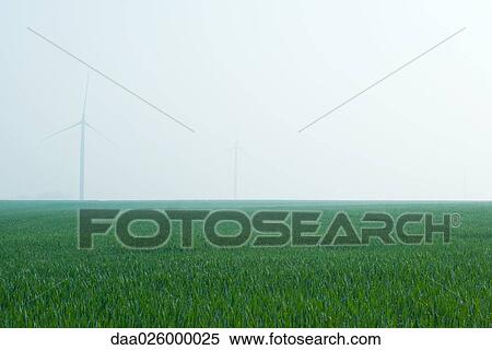 Green field with wind turbines in the distance View Large Photo Image Stock Photography - Green field with wind turbines in the distance. Fotosearch