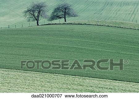 Stock Photo - Green fields. Fotosearch