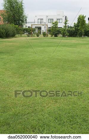 Green lawn, swing set and home in distance View Large Photo Image Stock Image - Green lawn, swing set and home in distance. Fotosearch