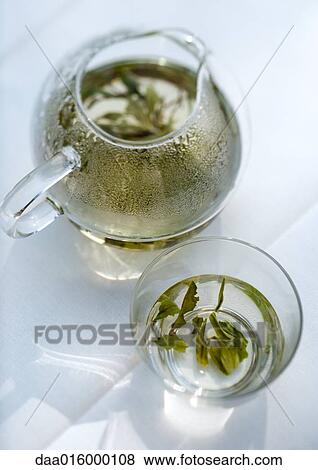 Green tea steeping in tea pot and cup View Large Photo Image Stock Photo - Green tea steeping in tea pot and cup. Fotosearch