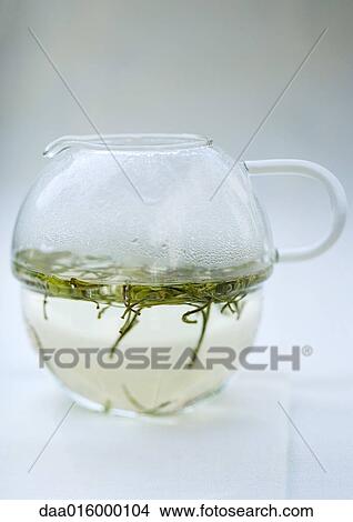Green tea steeping in tea pot View Large Photo Image Picture - Green tea steeping in tea pot. Fotosearch