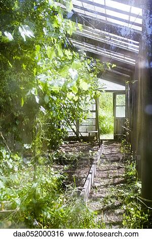 Greenhouse agriculture View Large Photo Image Stock Photograph - Greenhouse agriculture. Fotosearch
