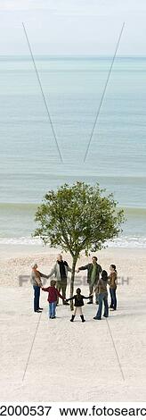 Stock Photo - Group of people holding hands in circle around solitary tree on beach. Fotosearch