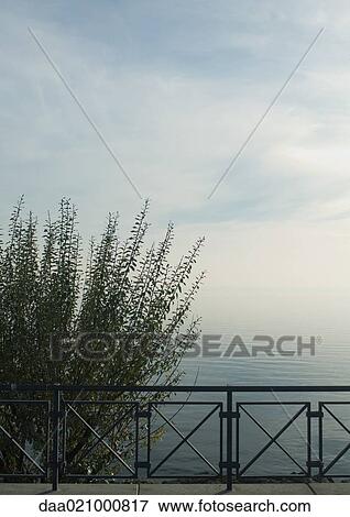 Stock Photo - Guardrail and bush overlooking body of water. Fotosearch