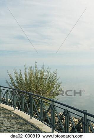 Stock Photo - Guardrail and bush overlooking body of water. Fotosearch
