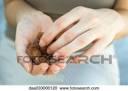Stock Image - Handful of dry broad beans, other hand picking up one bean. Fotosearch