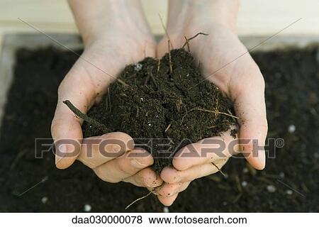 Handful of gardening soil View Large Photo Image Stock Photo - Handful of gardening soil. Fotosearch